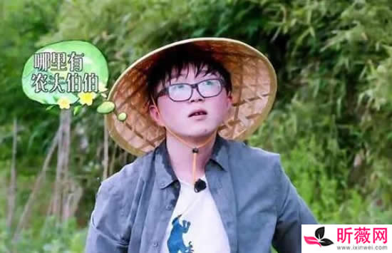 毛不易是哪个公司的艺人 龙丹妮对毛不易好吗