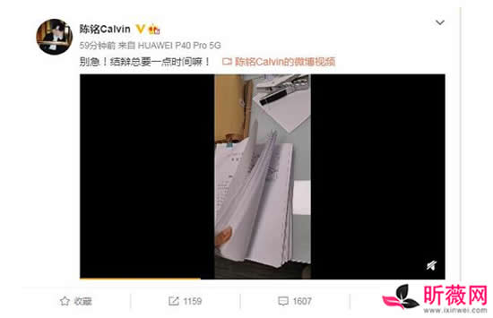 陈铭学术造假是真的吗 陈铭本尊发文回应此事真相来了