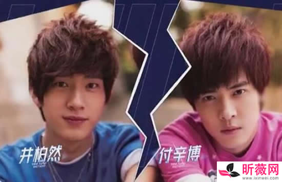 金星冲付辛博叫井柏然什么情况 井柏然和付辛博为什么掰了 金星冲付辛博叫井柏然什么情况 井柏然和付辛博为什么掰了