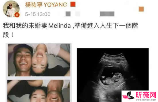 杨祐宁老婆是谁 杨祐宁老婆Melinda哪里人做什么的 杨祐宁老婆是谁 杨祐宁老婆Melinda哪里人做什么的