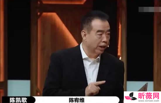 陈宥维是陈凯歌什么人 陈宥维是陈凯歌儿子吗