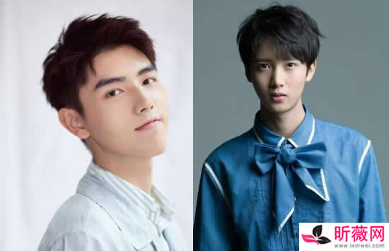 陈宥维是陈凯歌什么人 陈宥维是陈凯歌儿子吗