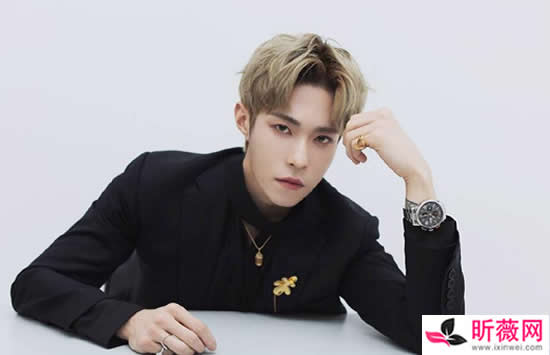 岳岳个人资料简介及最新图片介绍 岳岳个人资料简介及最新图片介绍