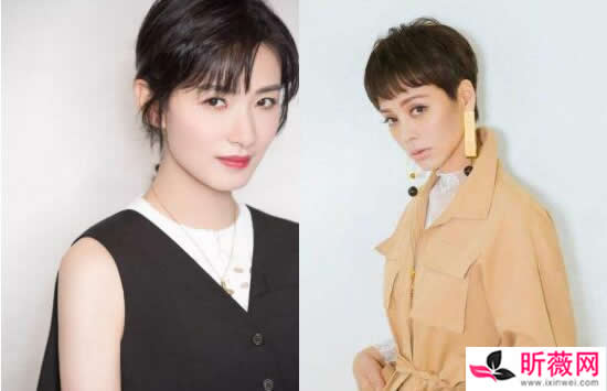 万茜为什么被称为皇族 万茜为什么突然那么火 万茜为什么被称为皇族 万茜为什么突然那么火