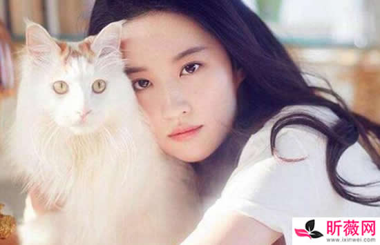 万茜人淡如菊的人设是怎么来的  人淡如菊女明星都有谁