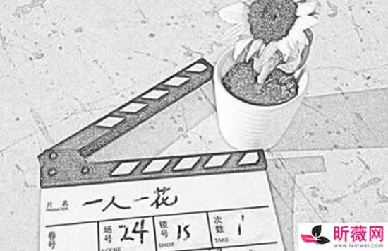 爱上一个人就陪她去流浪是什么歌 歌曲《一人一花》演唱者及歌词介绍 爱上一个人就陪她去流浪是什么歌 歌曲《一人一花》演唱者及歌词介绍