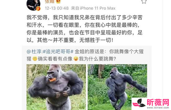 张翰力挺杜淳是怎么回事 张翰和杜淳什么关系怎么认识的 张翰力挺杜淳是怎么回事 张翰和杜淳什么关系怎么认识的