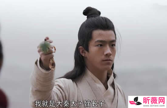 大秦赋嬴政的少年扮演者是谁 扮演者李卓钊竟然是流浪地球中的他 大秦赋嬴政的少年扮演者是谁 扮演者李卓钊竟然是流浪地球中的他