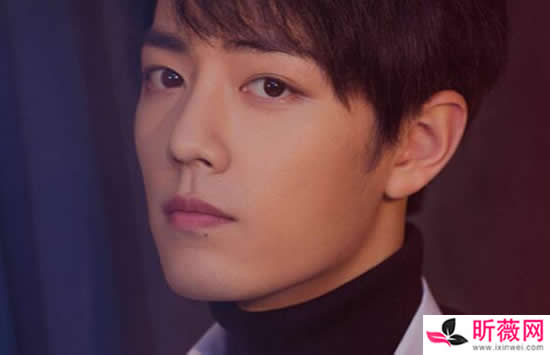 肖战演过的电视剧或电影有哪些 其中的这一部成为经典