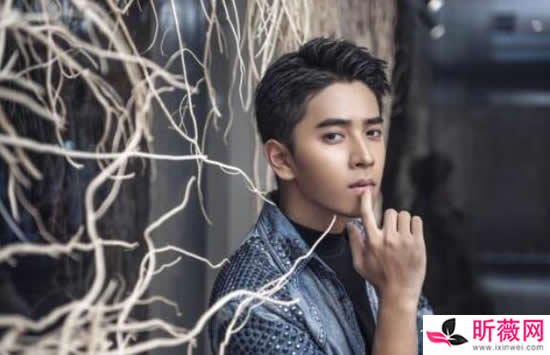 陈若轩演过的电视剧或电影有哪些 最好看的一部你看过吗