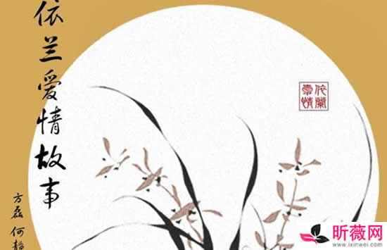 小品你好李焕英中的歌曲是什么 歌曲《依兰爱情故事》演唱者及歌词介绍