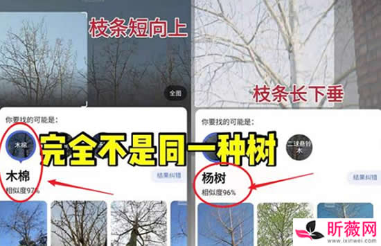 欧阳娜娜陈飞宇疑似恋情 网友深扒其中细节真相来了