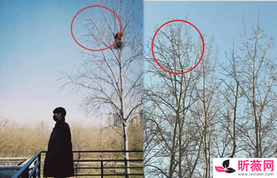 欧阳娜娜陈飞宇疑似恋情 网友深扒其中细节真相来了