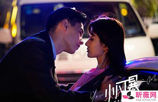 电视剧小风暴之时间的玫瑰全部歌曲介绍 主题曲片尾曲及插曲介绍 电视剧小风暴之时间的玫瑰全部歌曲介绍 主题曲片尾曲及插曲介绍