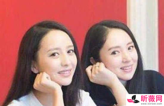 董璇和佟丽娅长得很像 董璇和佟丽娅私下是什么关系 董璇和佟丽娅长得很像 董璇和佟丽娅私下是什么关系