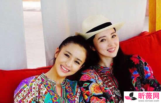 董璇和佟丽娅长得很像 董璇和佟丽娅私下是什么关系 董璇和佟丽娅长得很像 董璇和佟丽娅私下是什么关系