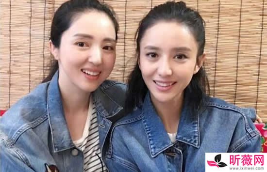 董璇和佟丽娅长得很像 董璇和佟丽娅私下是什么关系 董璇和佟丽娅长得很像 董璇和佟丽娅私下是什么关系