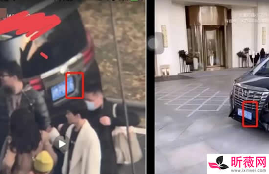 迪丽热巴和黄景瑜是男女朋友关系吗 热带鱼CP实锤来了 迪丽热巴和黄景瑜是男女朋友关系吗 热带鱼CP实锤来了