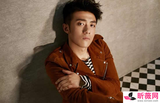 李泽锋演过的所有电视剧有哪些 其中最好看的是哪几部