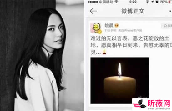 姚晨为什么叫恶之花 姚晨为什么被骂是圣母婊 姚晨为什么叫恶之花 姚晨为什么被骂是圣母婊