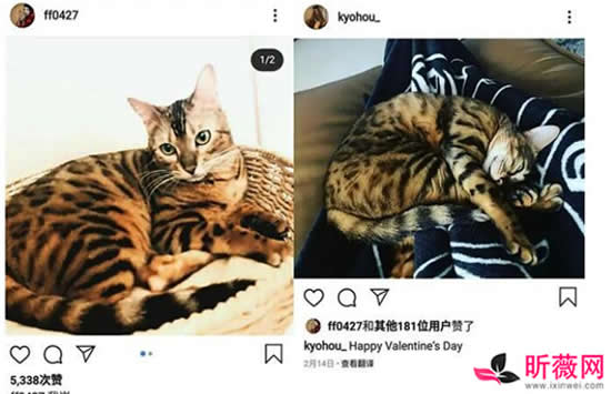 王霏霏男友是谁 男友详细资料及两人恋情细节曝光 王霏霏男友是谁 男友详细资料及两人恋情细节曝光