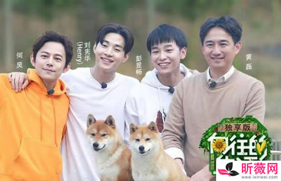 彭昱畅个人资料及全部作品介绍 彭昱畅个人资料及全部作品介绍