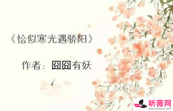 10部值得看10遍小说女生言情 每一部都是经典