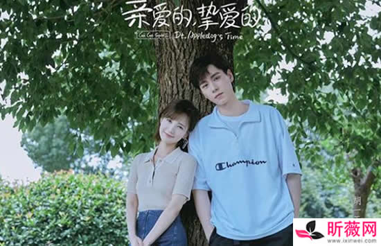 2021将要播出的十部好看的电视剧有哪些 最后一部你肯定期待