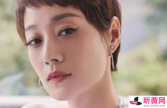 马伊琍为什么叫马司令原因曝光 怪不得马伊琍和文章会离婚