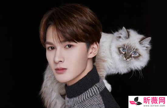 nine percent成员排名介绍 各成员基本信息及粉丝应援介绍