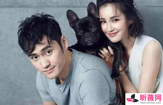 张歆艺为什么叫二姐 袁弘为什么娶二婚的张歆艺 张歆艺为什么叫二姐 袁弘为什么娶二婚的张歆艺