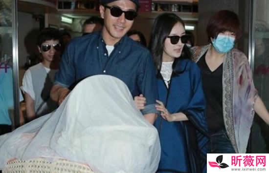 徐静蕾说代孕正常 杨幂baby赵丽颖被猜测代孕 徐静蕾说代孕正常 杨幂baby赵丽颖被猜测代孕