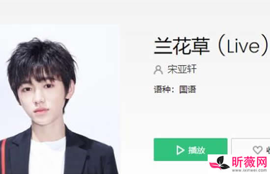 抖音此刻我独领风骚是什么歌 歌曲《兰花草》演唱者及歌词介绍 抖音此刻我独领风骚是什么歌 歌曲《兰花草》演唱者及歌词介绍