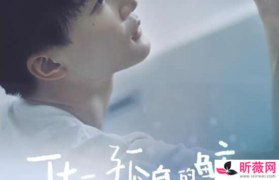 抖音你的衣衫破旧而歌声却温柔是什么歌 歌曲《化身孤岛的鲸》演唱者及歌词介绍 抖音你的衣衫破旧而歌声却温柔是什么歌 歌曲《化身孤岛的鲸》演唱者及歌词介绍