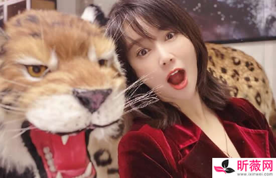 左小青个人资料简介及最新图片介绍