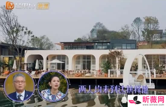 金莎盛况没在一起 一件事就表明了金莎不会选择盛况