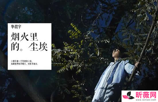 华晨宇最火的5首歌是哪几首 第一名你肯定听过