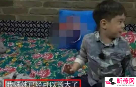 霍思燕二胎女儿疑似代孕是真的吗 网友却评论称其理解 霍思燕二胎女儿疑似代孕是真的吗 网友却评论称其理解