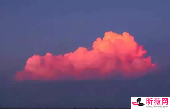 抖音为什么关机又关机对不起已经关机什么歌 歌曲《关机又关机》演唱者及歌词介绍