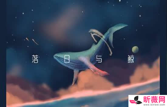 抖音你缓缓靠近海面我匆匆向西奔跃是什么歌 歌曲《落日和鲸》演唱者及歌词完整版 抖音你缓缓靠近海面我匆匆向西奔跃是什么歌 歌曲《落日和鲸》演唱者及歌词完整版