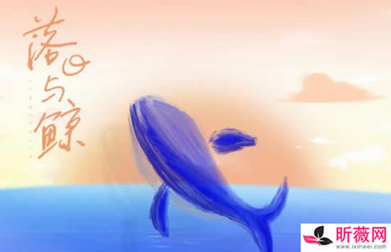 抖音你缓缓靠近海面我匆匆向西奔跃是什么歌 歌曲《落日和鲸》演唱者及歌词完整版 抖音你缓缓靠近海面我匆匆向西奔跃是什么歌 歌曲《落日和鲸》演唱者及歌词完整版