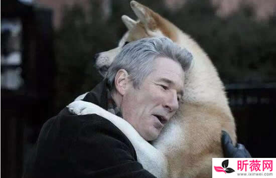 10部哭到崩溃的电影：从头哭到尾的十部电影