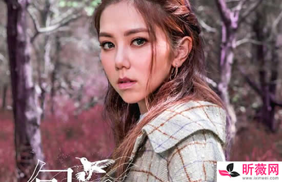 邓紫棋最好听的10首歌排行榜 邓紫棋写给华晨宇的那首你听过吗