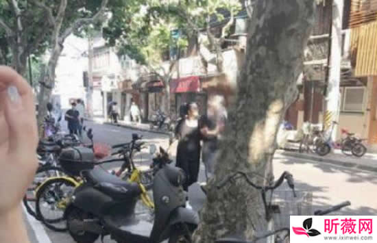 张雨绮代孕龙凤胎是真的吗 几点细节爆出其中真相