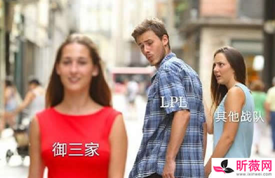 御三家到底是什么梗 各种御三家都是什么