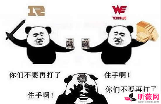 御三家到底是什么梗 各种御三家都是什么