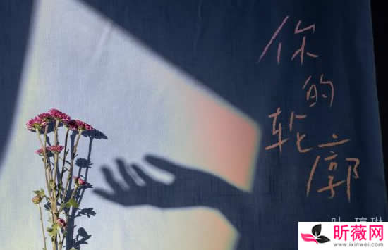 抖音我穿过所有浪漫银河所有城市烟火是什么歌 歌曲《你的轮廓》演唱者及歌词介绍