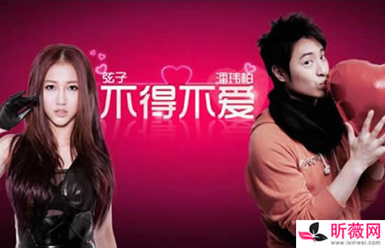 弦子最好听的五首歌是什么 其中的一首你肯定听过