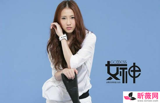 弦子最好听的五首歌是什么 其中的一首你肯定听过