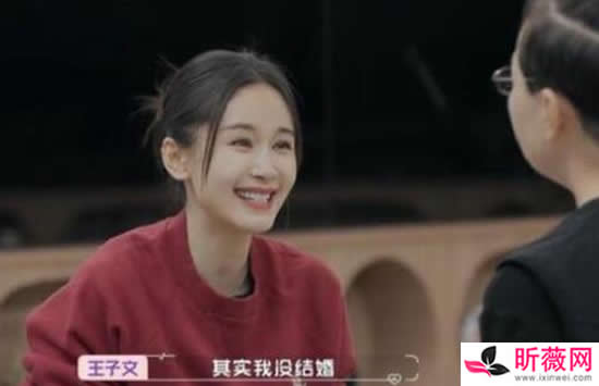 王子文没结过婚是真的吗 王子文的儿子是谁的
